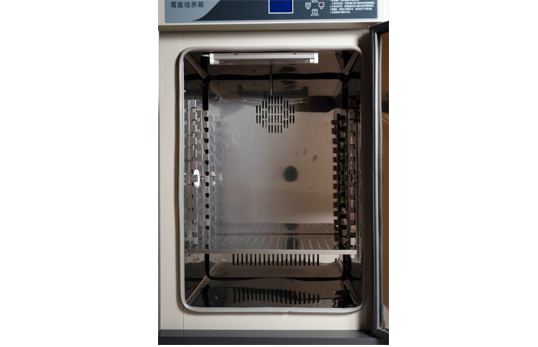 mold incubator