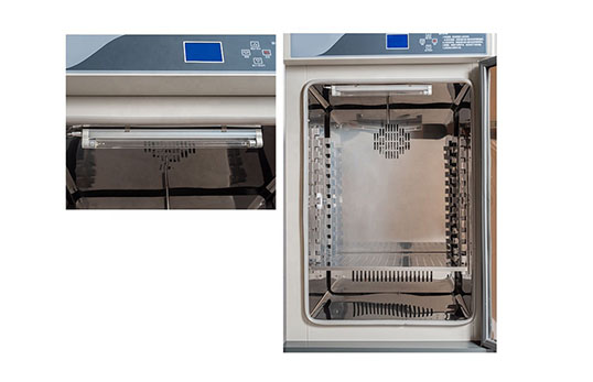 mold incubator