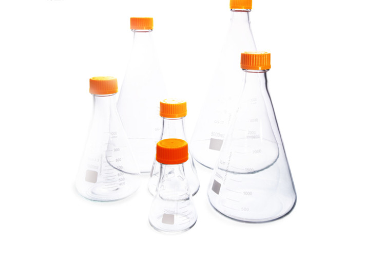 Erlenmeyer Flasks reagent bottle