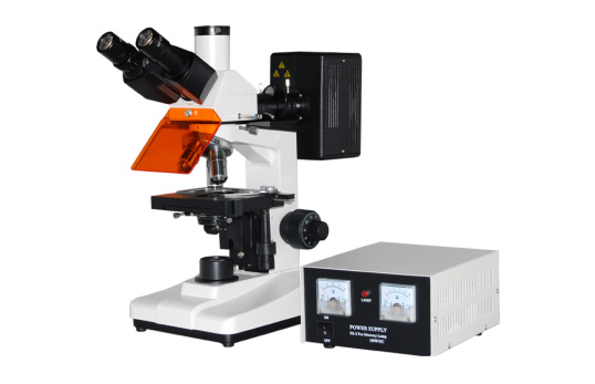 Epi-fluorescence microscope