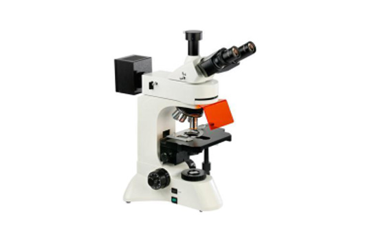 Epifluorescence Microscope
