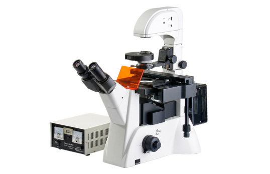 Fluorescence Microscope