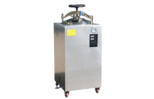 FY-100L back pressure autoclave